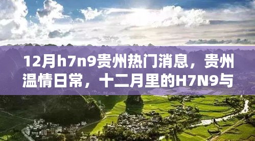 贵州温情日常，十二月里的H7N9与友情的温暖