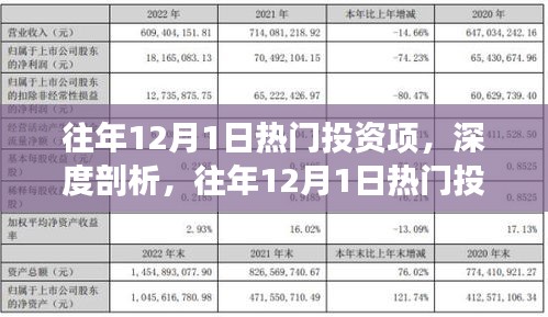 深度解析，往年12月1日热门投资项目的魅力与挑战 —— 来自某某的独特观点探讨