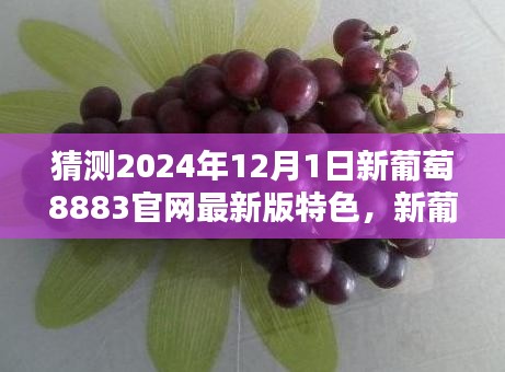 新葡萄8883官网最新版特色猜测与娱乐体验指南（避免赌博，警惕违法犯罪风险）