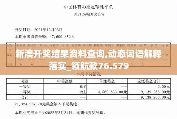 新澳开奖结果资料查询,动态词语解释落实_领航款76.579