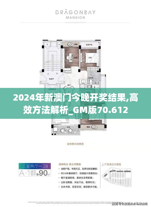 2024年新澳门今晚开奖结果,高效方法解析_GM版70.612