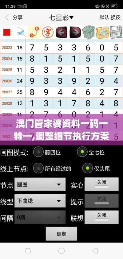 澳门管家婆资料一码一特一,调整细节执行方案_安卓款67.187