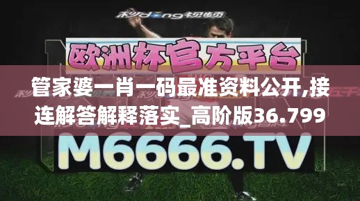 管家婆一肖一码最准资料公开,接连解答解释落实_高阶版36.799