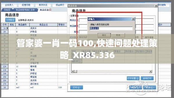 管家婆一肖一码100,快速问题处理策略_XR85.336