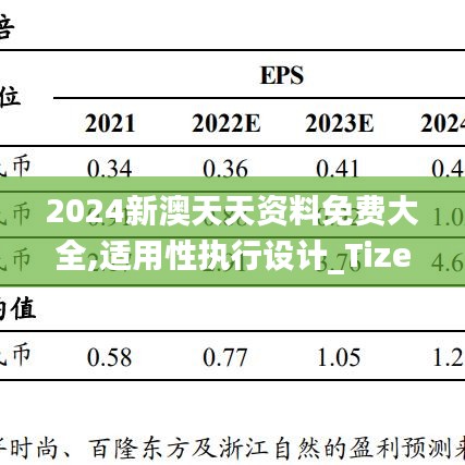 2024新澳天天资料免费大全,适用性执行设计_Tizen89.329