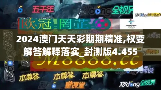 2024澳门天天彩期期精准,权变解答解释落实_封测版4.455