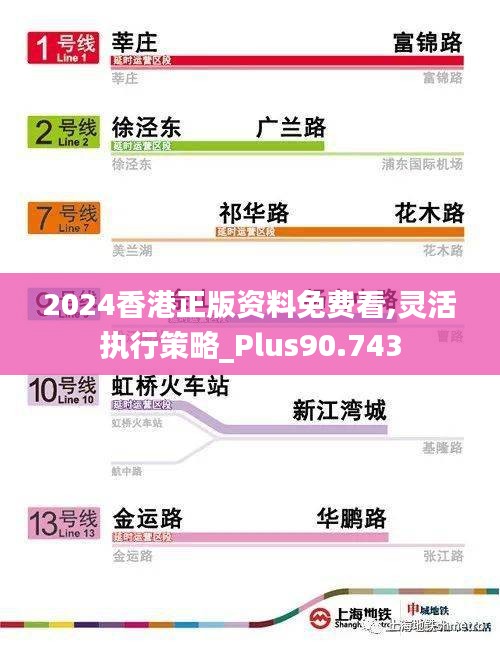 2024香港正版资料免费看,灵活执行策略_Plus90.743