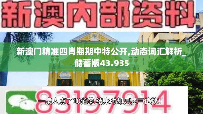 新澳门精准四肖期期中特公开,动态词汇解析_储蓄版43.935