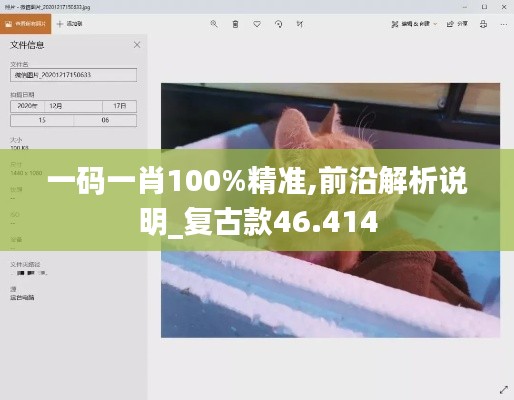 一码一肖100%精准,前沿解析说明_复古款46.414