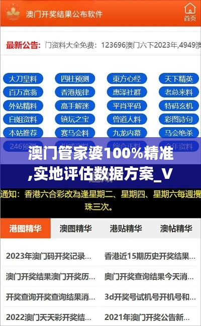 澳门管家婆100%精准,实地评估数据方案_V20.773