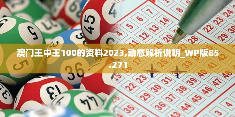 澳门王中王100的资料2023,动态解析说明_WP版85.271