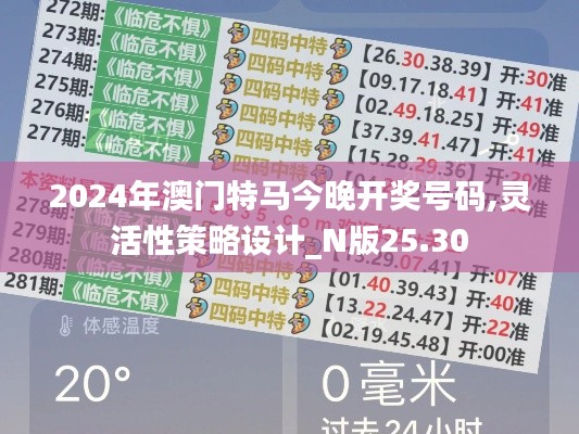 2024年澳门特马今晚开奖号码,灵活性策略设计_N版25.30