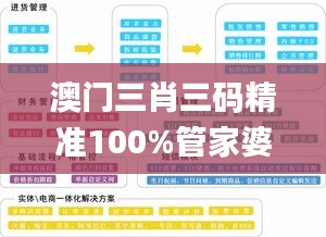 澳门三肖三码精准100%管家婆,数据驱动执行决策_限定版58.513