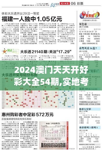 2024澳门天天开好彩大全54期,实地考察分析数据_免费版110.22