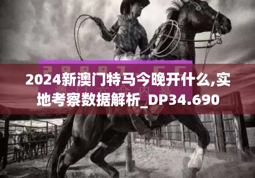 2024新澳门特马今晚开什么,实地考察数据解析_DP34.690