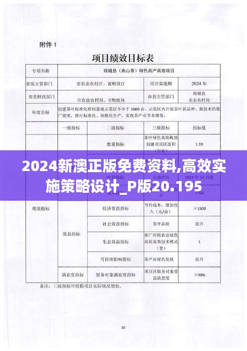 2024新澳正版免费资料,高效实施策略设计_P版20.195