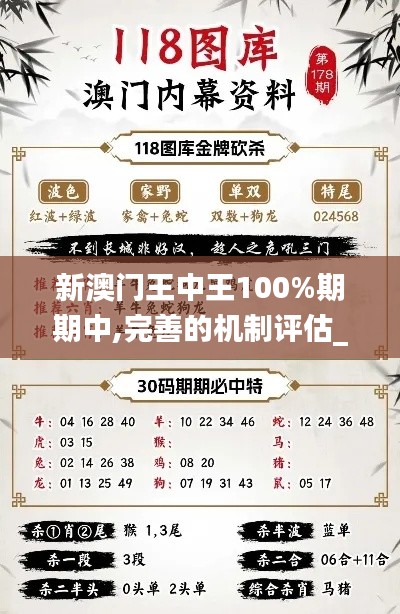 新澳门王中王100%期期中,完善的机制评估_优选版37.895