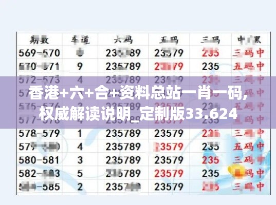 香港+六+合+资料总站一肖一码,权威解读说明_定制版33.624