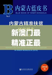 新澳门最精准正最精准龙门,决策资料解释落实_Tablet89.323