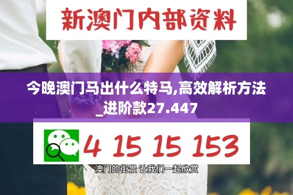 今晚澳门马出什么特马,高效解析方法_进阶款27.447