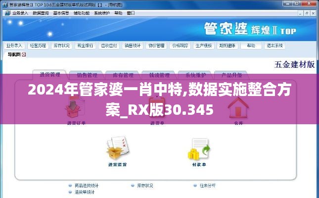 2024年管家婆一肖中特,数据实施整合方案_RX版30.345