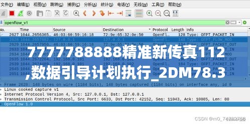 7777788888精准新传真112,数据引导计划执行_2DM78.35