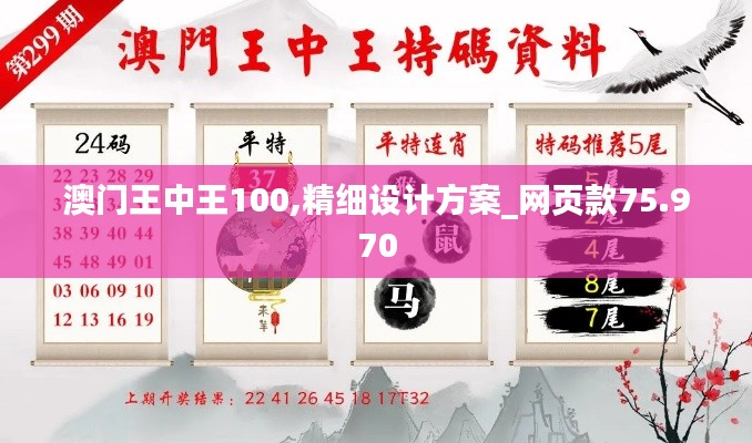 澳门王中王100,精细设计方案_网页款75.970