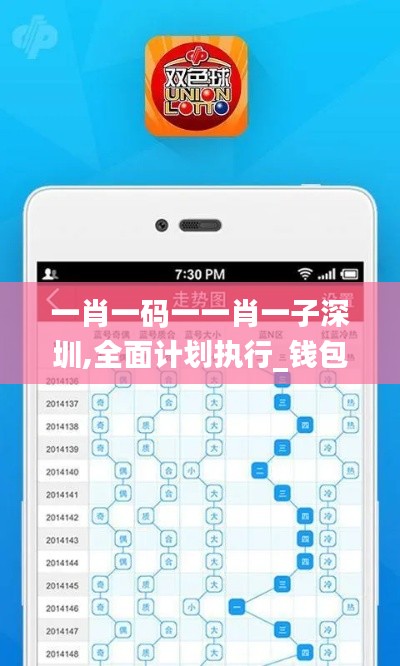 一肖一码一一肖一子深圳,全面计划执行_钱包版20.349