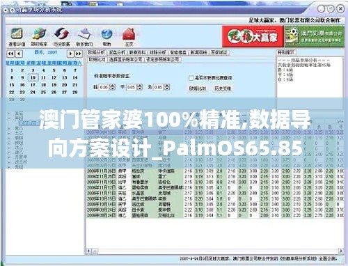 澳门管家婆100%精准,数据导向方案设计_PalmOS65.85