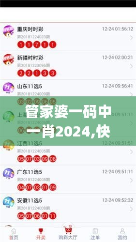 管家婆一码中一肖2024,快速解答执行方案_1080p70.384