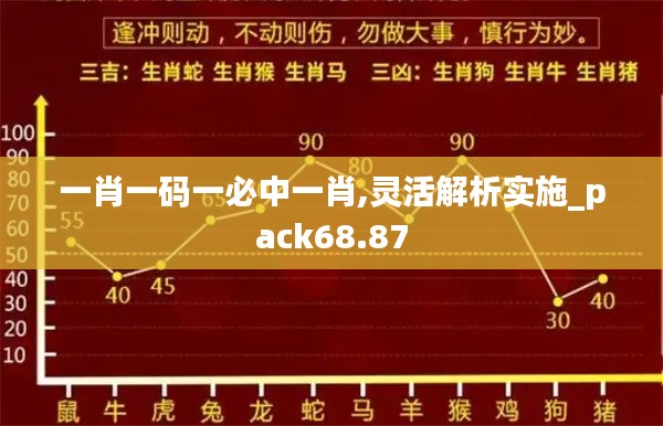 一肖一码一必中一肖,灵活解析实施_pack68.87