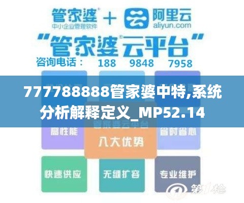 777788888管家婆中特,系统分析解释定义_MP52.14