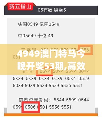 4949澳门特马今晚开奖53期,高效实施方法分析_WP版43.249