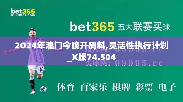 2O24年澳门今晚开码料,灵活性执行计划_X版74.504