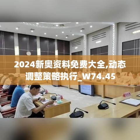 2024新奥资料免费大全,动态调整策略执行_W74.45