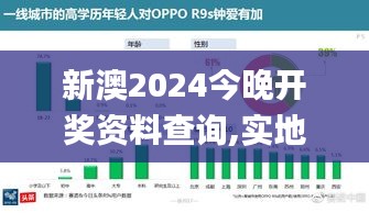 新澳2024今晚开奖资料查询,实地分析数据方案_创意版2.462