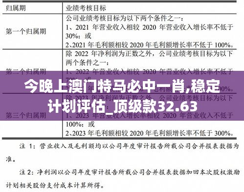 今晚上澳门特马必中一肖,稳定计划评估_顶级款32.63