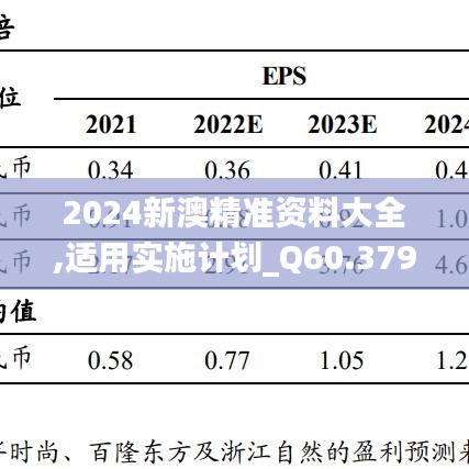 2024新澳精准资料大全,适用实施计划_Q60.379