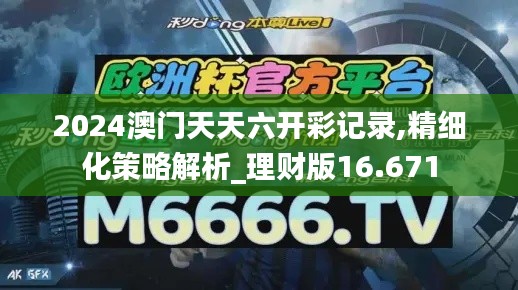 2024澳门天天六开彩记录,精细化策略解析_理财版16.671