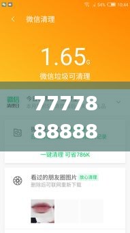 7777888888管家精准管家婆免费,平衡实施策略_精简版87.452