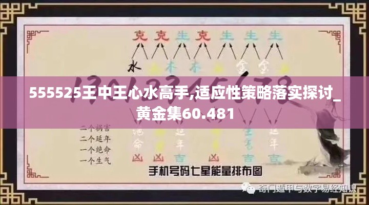 555525王中王心水高手,适应性策略落实探讨_黄金集60.481