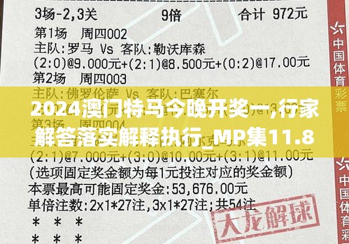 2024澳门特马今晚开奖一,行家解答落实解释执行_MP集11.848