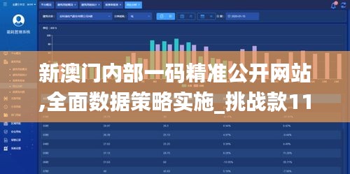 新澳门内部一码精准公开网站,全面数据策略实施_挑战款11.665