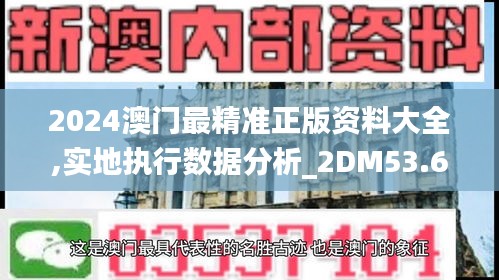 2024澳门最精准正版资料大全,实地执行数据分析_2DM53.698-3