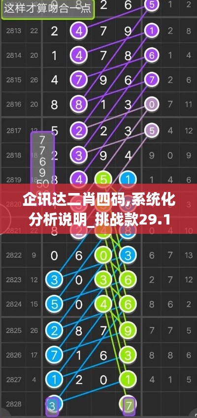 企讯达二肖四码,系统化分析说明_挑战款29.113-3