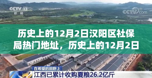 历史上的12月2日汉阳区社保局地址变迁及其影响，深度解析与观点阐述