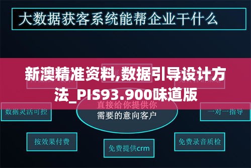 新澳精准资料,数据引导设计方法_PIS93.900味道版