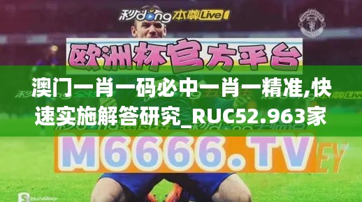 澳门一肖一码必中一肖一精准,快速实施解答研究_RUC52.963家居版