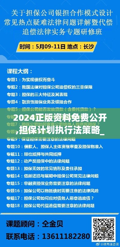 2024正版资料免费公开,担保计划执行法策略_ERJ80.815味道版