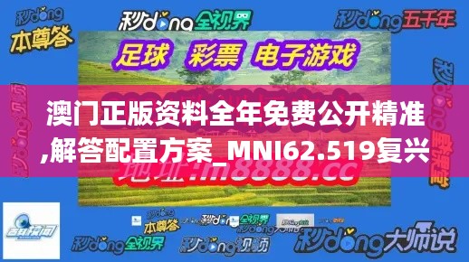 澳门正版资料全年免费公开精准,解答配置方案_MNI62.519复兴版